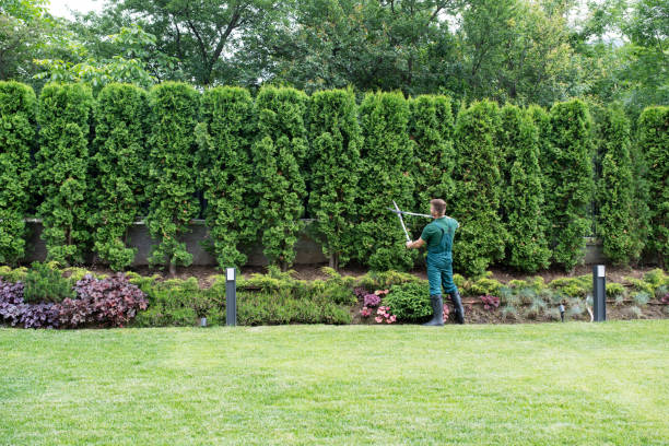 Lawn Maintenance Plans in Remington, IN